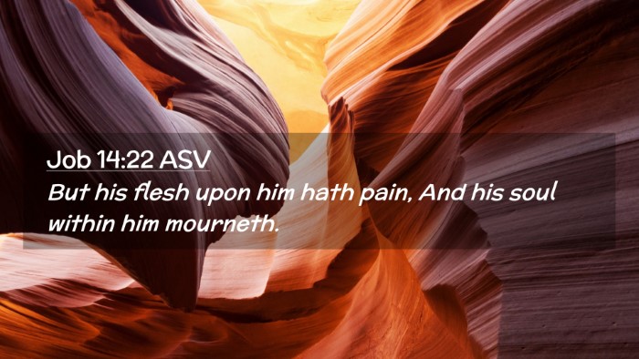 Picture 02 - Job 14:22 ASV Desktop Wallpaper - But his flesh upon him hath pain, And his soul - Desktop Bible Verse Wallpaper