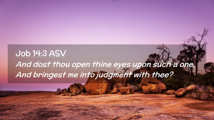 Picture 02 - Job 14:3 ASV Desktop Wallpaper - And dost thou open thine eyes upon such a one, - Desktop Bible Verse Wallpaper