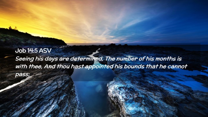 Picture 02 - Job 14:5 ASV Desktop Wallpaper - Seeing his days are determined, The number of his - Desktop Bible Verse Wallpaper