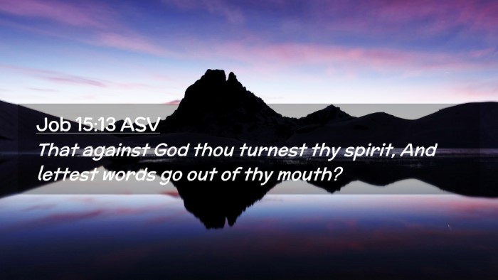 Picture 02 - Job 15:13 ASV Desktop Wallpaper - That against God thou turnest thy spirit, And - Desktop Bible Verse Wallpaper