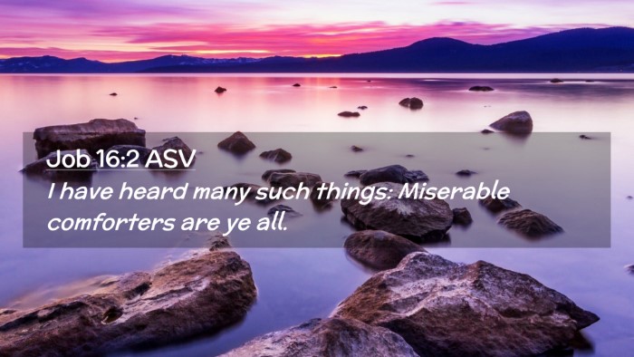 Picture 02 - Job 16:2 ASV Desktop Wallpaper - I have heard many such things: Miserable - Desktop Bible Verse Wallpaper