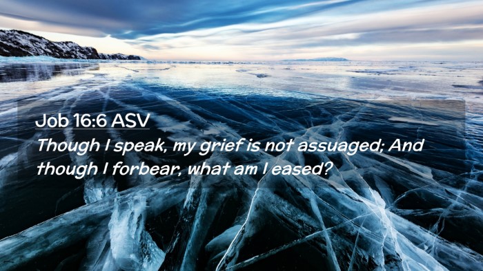 Picture 02 - Job 16:6 ASV Desktop Wallpaper - Though I speak, my grief is not assuaged; And - Desktop Bible Verse Wallpaper