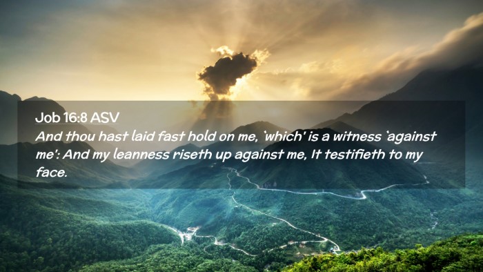 Picture 02 - Job 16:8 ASV Desktop Wallpaper - And thou hast laid fast hold on me, `which' is a - Desktop Bible Verse Wallpaper