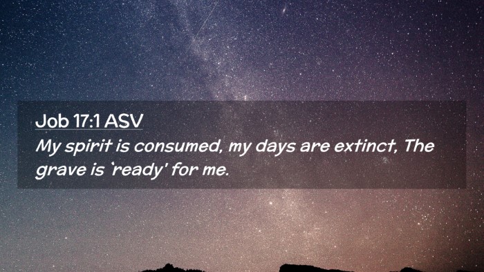 Picture 02 - Job 17:1 ASV Desktop Wallpaper - My spirit is consumed, my days are extinct, The - Desktop Bible Verse Wallpaper