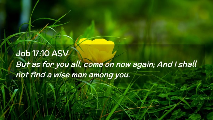 Picture 02 - Job 17:10 ASV Desktop Wallpaper - But as for you all, come on now again; And I - Desktop Bible Verse Wallpaper