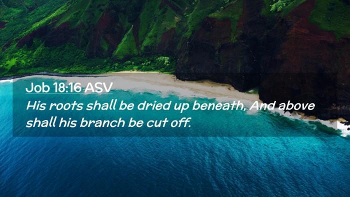 Picture 02 - Job 18:16 ASV Desktop Wallpaper - His roots shall be dried up beneath, And above - Desktop Bible Verse Wallpaper