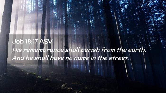 Picture 02 - Job 18:17 ASV Desktop Wallpaper - His remembrance shall perish from the earth, And - Desktop Bible Verse Wallpaper