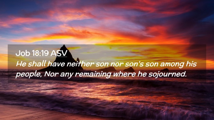 Picture 02 - Job 18:19 ASV Desktop Wallpaper - He shall have neither son nor son's son among his - Desktop Bible Verse Wallpaper