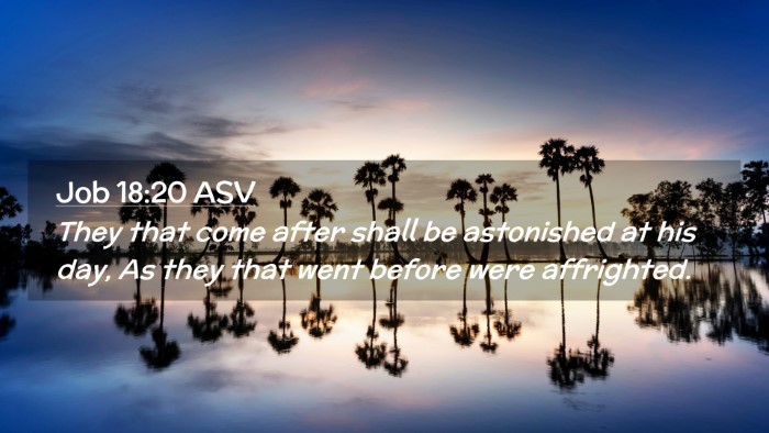 Picture 02 - Job 18:20 ASV Desktop Wallpaper - They that come after shall be astonished at his - Desktop Bible Verse Wallpaper