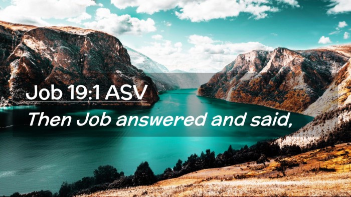 Picture 02 - Job 19:1 ASV Desktop Wallpaper - Then Job answered and - Desktop Bible Verse Wallpaper
