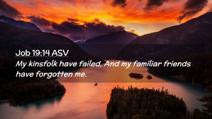 Picture 02 - Job 19:14 ASV Desktop Wallpaper - My kinsfolk have failed, And my familiar friends - Desktop Bible Verse Wallpaper
