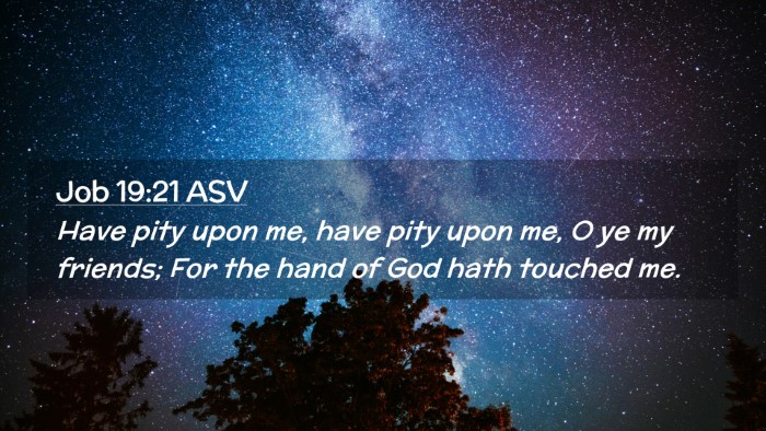 Picture 02 - Job 19:21 ASV Desktop Wallpaper - Have pity upon me, have pity upon me, O ye my - Desktop Bible Verse Wallpaper