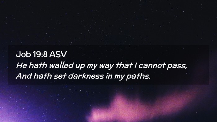 Picture 02 - Job 19:8 ASV Desktop Wallpaper - He hath walled up my way that I cannot pass, And - Desktop Bible Verse Wallpaper