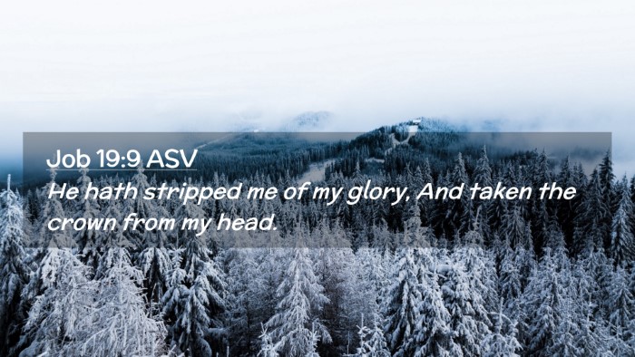 Picture 02 - Job 19:9 ASV Desktop Wallpaper - He hath stripped me of my glory, And taken the - Desktop Bible Verse Wallpaper