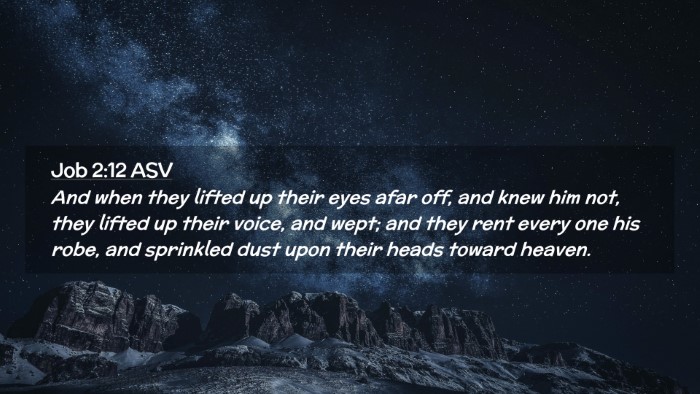 Picture 02 - Job 2:12 ASV Desktop Wallpaper - And when they lifted up their eyes afar off, and - Desktop Bible Verse Wallpaper
