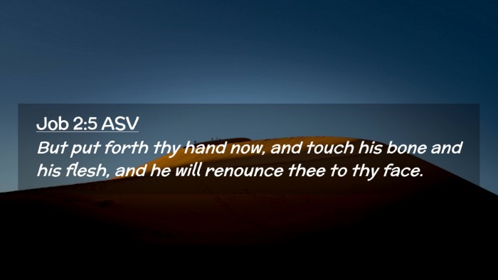 Picture 02 - Job 2:5 ASV Desktop Wallpaper - But put forth thy hand now, and touch his bone - Desktop Bible Verse Wallpaper