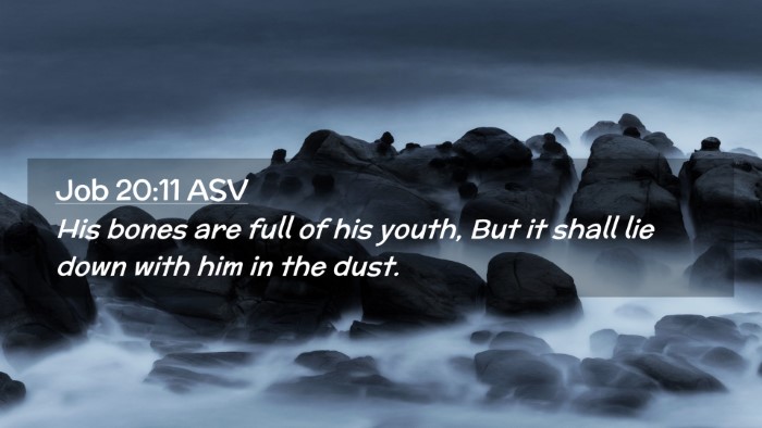Picture 02 - Job 20:11 ASV Desktop Wallpaper - His bones are full of his youth, But it shall lie - Desktop Bible Verse Wallpaper