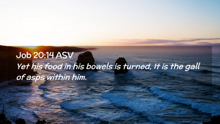 Picture 02 - Job 20:14 ASV Desktop Wallpaper - Yet his food in his bowels is turned, It is the - Desktop Bible Verse Wallpaper