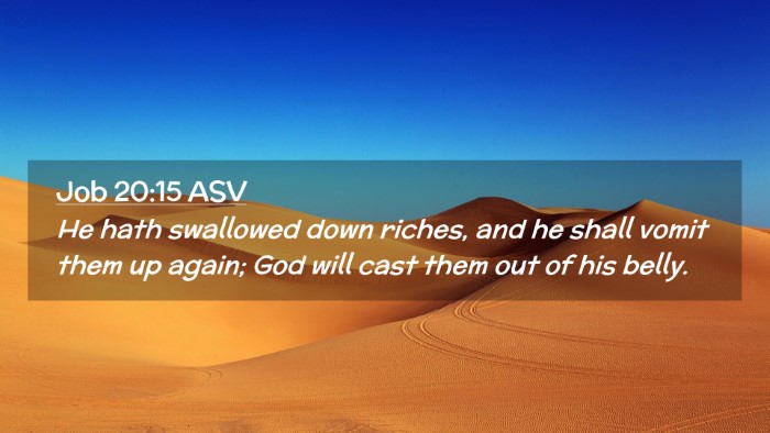 Picture 02 - Job 20:15 ASV Desktop Wallpaper - He hath swallowed down riches, and he shall vomit - Desktop Bible Verse Wallpaper
