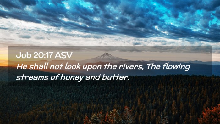 Picture 02 - Job 20:17 ASV Desktop Wallpaper - He shall not look upon the rivers, The flowing - Desktop Bible Verse Wallpaper