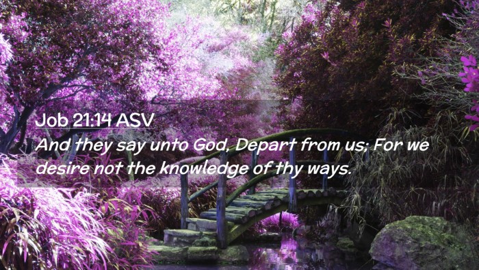 Picture 02 - Job 21:14 ASV Desktop Wallpaper - And they say unto God, Depart from us; For we - Desktop Bible Verse Wallpaper