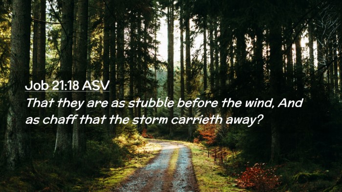 Picture 02 - Job 21:18 ASV Desktop Wallpaper - That they are as stubble before the wind, And as - Desktop Bible Verse Wallpaper
