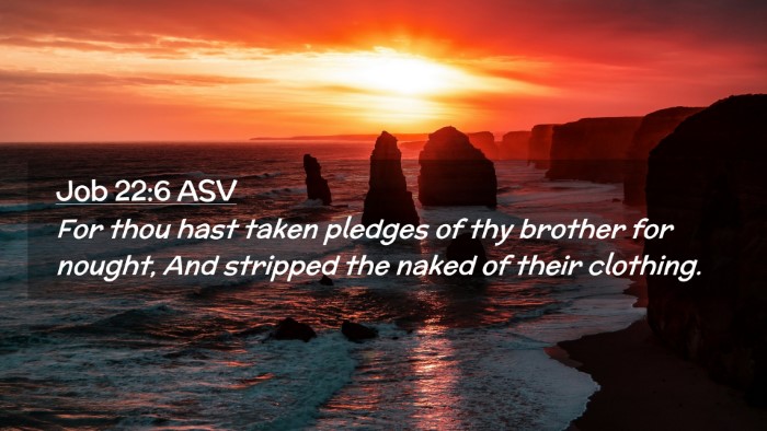 Picture 02 - Job 22:6 ASV Desktop Wallpaper - For thou hast taken pledges of thy brother for - Desktop Bible Verse Wallpaper