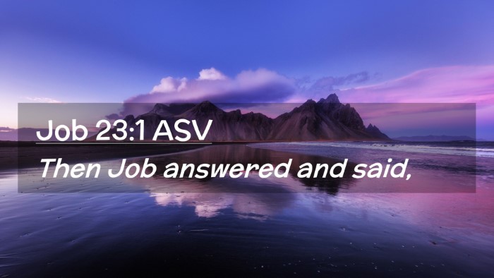 Picture 02 - Job 23:1 ASV Desktop Wallpaper - Then Job answered and - Desktop Bible Verse Wallpaper