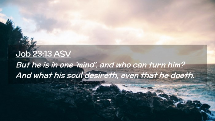 Picture 02 - Job 23:13 ASV Desktop Wallpaper - But he is in one `mind', and who can turn him? - Desktop Bible Verse Wallpaper