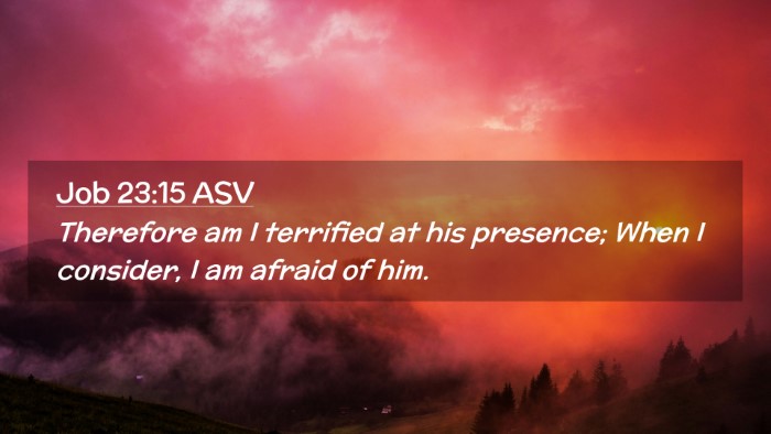 Picture 02 - Job 23:15 ASV Desktop Wallpaper - Therefore am I terrified at his presence; When I - Desktop Bible Verse Wallpaper