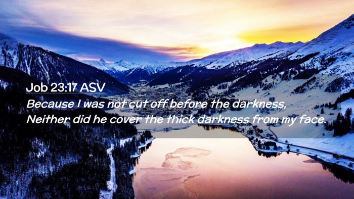Picture 02 - Job 23:17 ASV Desktop Wallpaper - Because I was not cut off before the darkness, - Desktop Bible Verse Wallpaper