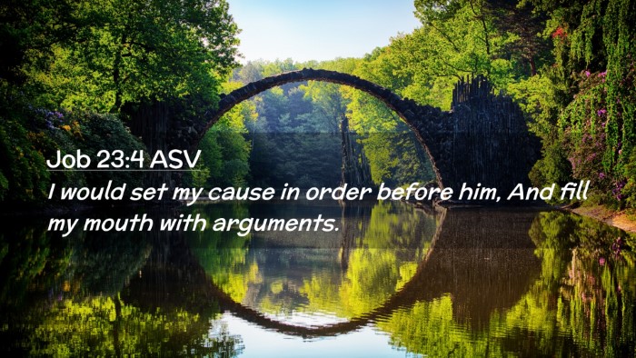 Picture 02 - Job 23:4 ASV Desktop Wallpaper - I would set my cause in order before him, And - Desktop Bible Verse Wallpaper