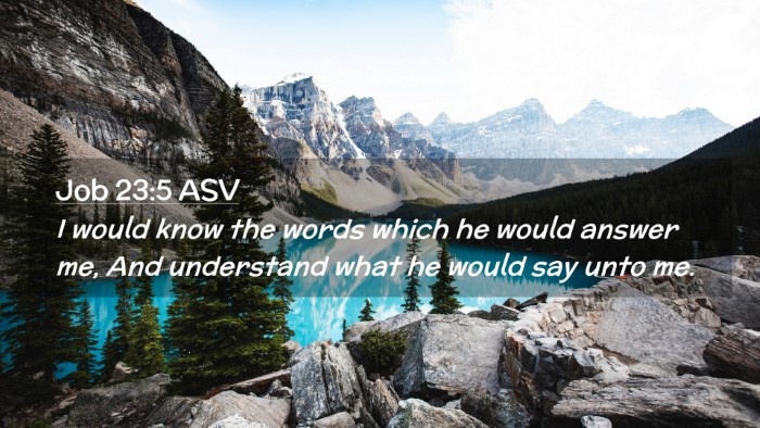 Picture 02 - Job 23:5 ASV Desktop Wallpaper - I would know the words which he would answer me, - Desktop Bible Verse Wallpaper