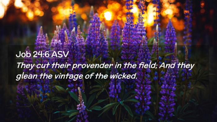 Picture 02 - Job 24:6 ASV Desktop Wallpaper - They cut their provender in the field; And they - Desktop Bible Verse Wallpaper