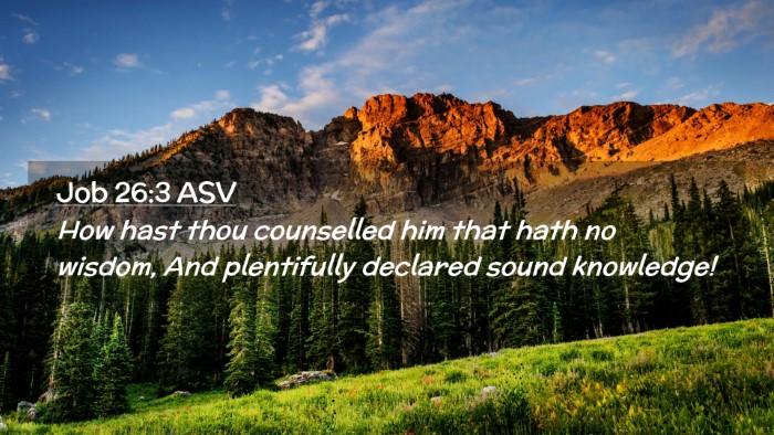 Picture 02 - Job 26:3 ASV Desktop Wallpaper - How hast thou counselled him that hath no wisdom, - Desktop Bible Verse Wallpaper