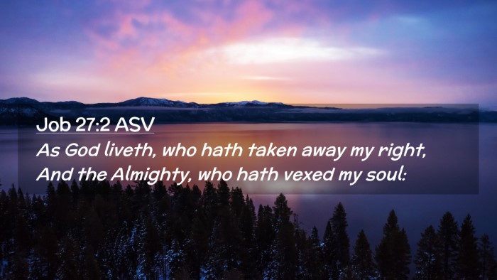 Picture 02 - Job 27:2 ASV Desktop Wallpaper - As God liveth, who hath taken away my right, And - Desktop Bible Verse Wallpaper