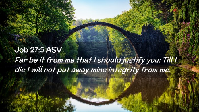 Picture 02 - Job 27:5 ASV Desktop Wallpaper - Far be it from me that I should justify you: Till - Desktop Bible Verse Wallpaper