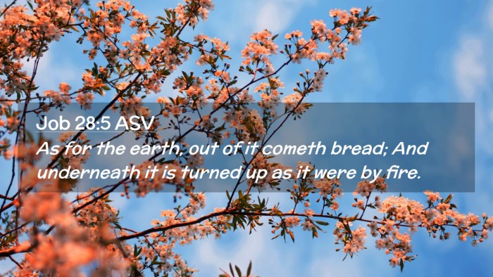 Picture 02 - Job 28:5 ASV Desktop Wallpaper - As for the earth, out of it cometh bread; And - Desktop Bible Verse Wallpaper