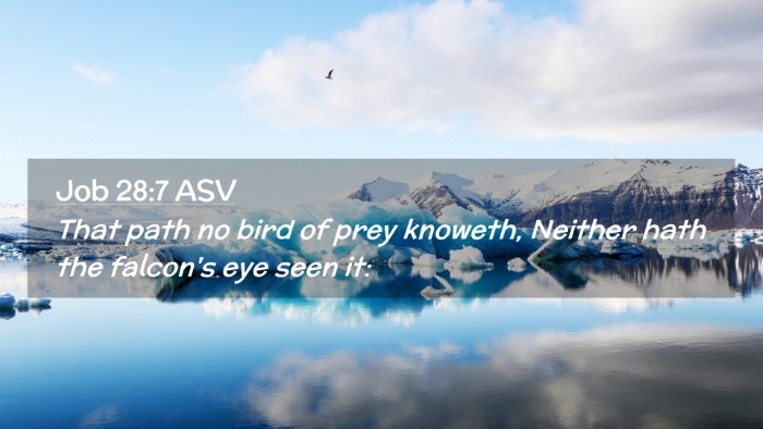 Picture 02 - Job 28:7 ASV Desktop Wallpaper - That path no bird of prey knoweth, Neither hath - Desktop Bible Verse Wallpaper