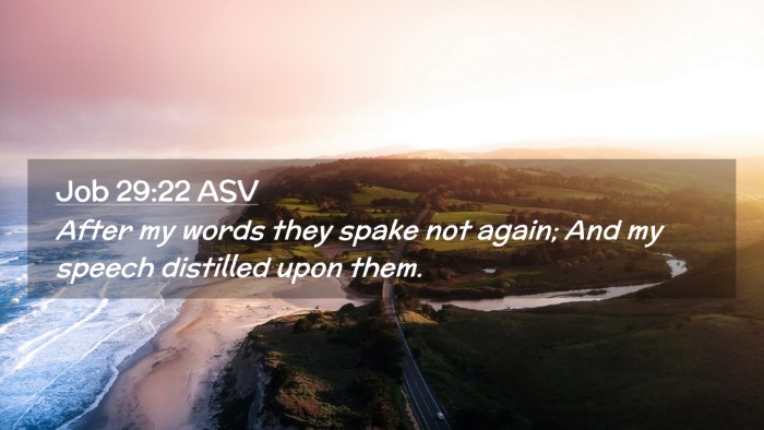 Picture 02 - Job 29:22 ASV Desktop Wallpaper - After my words they spake not again; And my - Desktop Bible Verse Wallpaper