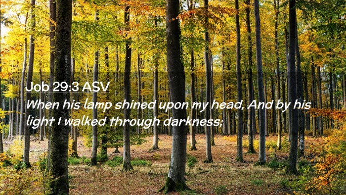 Picture 02 - Job 29:3 ASV Desktop Wallpaper - When his lamp shined upon my head, And by his - Desktop Bible Verse Wallpaper