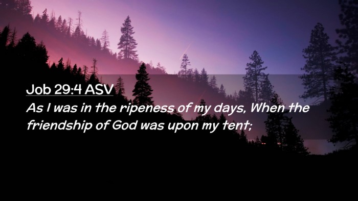 Picture 02 - Job 29:4 ASV Desktop Wallpaper - As I was in the ripeness of my days, When the - Desktop Bible Verse Wallpaper