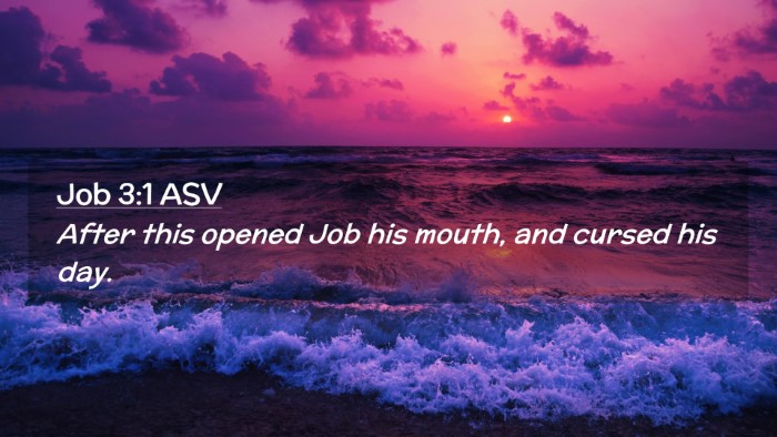 Picture 02 - Job 3:1 ASV Desktop Wallpaper - After this opened Job his mouth, and cursed his - Desktop Bible Verse Wallpaper