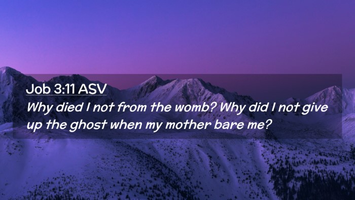 Picture 02 - Job 3:11 ASV Desktop Wallpaper - Why died I not from the womb? Why did I not give - Desktop Bible Verse Wallpaper