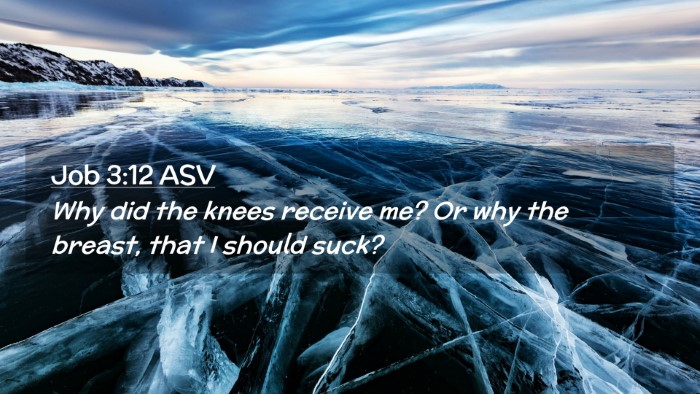 Picture 02 - Job 3:12 ASV Desktop Wallpaper - Why did the knees receive me? Or why the breast, - Desktop Bible Verse Wallpaper