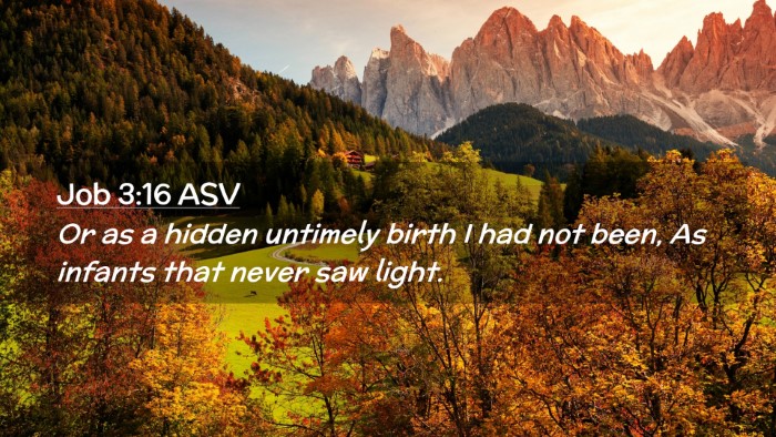 Picture 02 - Job 3:16 ASV Desktop Wallpaper - Or as a hidden untimely birth I had not been, As - Desktop Bible Verse Wallpaper