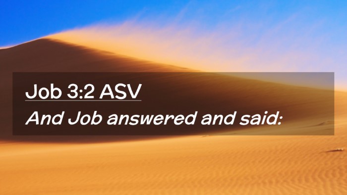 Picture 02 - Job 3:2 ASV Desktop Wallpaper - And Job answered and - Desktop Bible Verse Wallpaper
