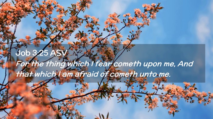 Picture 02 - Job 3:25 ASV Desktop Wallpaper - For the thing which I fear cometh upon me, And - Desktop Bible Verse Wallpaper