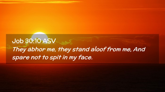 Picture 02 - Job 30:10 ASV Desktop Wallpaper - They abhor me, they stand aloof from me, And - Desktop Bible Verse Wallpaper