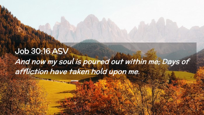 Picture 02 - Job 30:16 ASV Desktop Wallpaper - And now my soul is poured out within me; Days of - Desktop Bible Verse Wallpaper